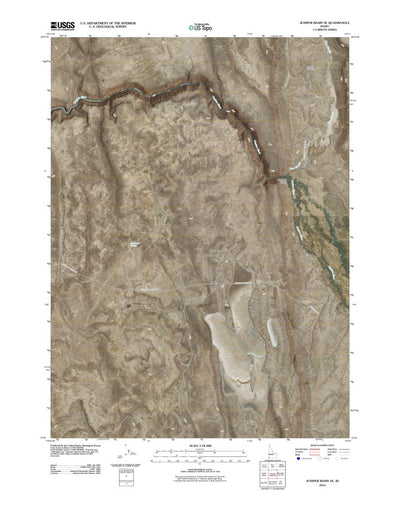 Juniper Basin SE, ID (2010, 24000-Scale) Preview 1