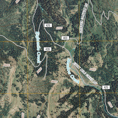 North Canyon, ID (2011, 24000-Scale) Preview 2
