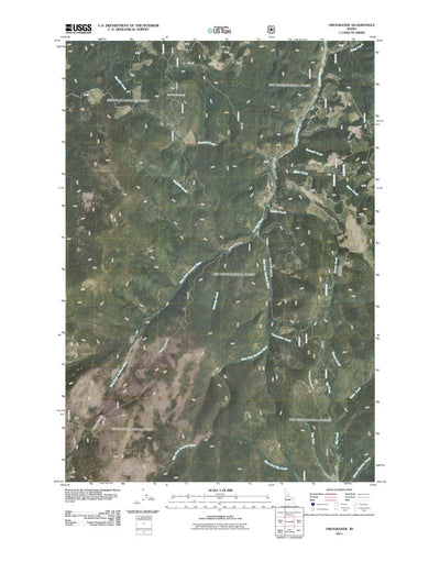Orogrande, ID (2011, 24000-Scale) Preview 1
