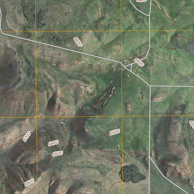 Paradise Valley, ID (2010, 24000-Scale) Preview 2