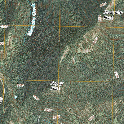 Peggy Peak, ID (2011, 24000-Scale) Preview 3