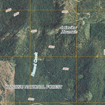 Priest Lake SW, ID (2011, 24000-Scale) Preview 3
