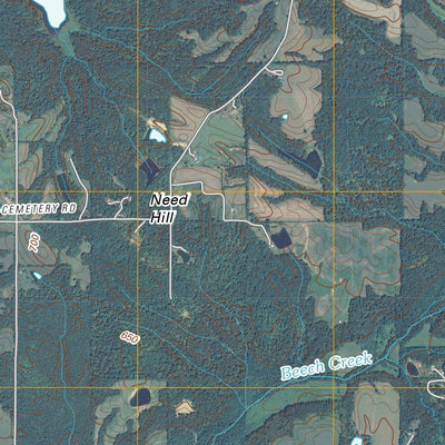 Arney, IN (2010, 24000-Scale) Preview 3
