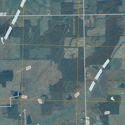 Domestic, IN (2010, 24000-Scale) Preview 3