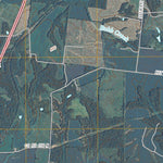 Patoka, IN (2010, 24000-Scale) Preview 2