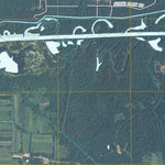 Schneider, IN (2010, 24000-Scale) Preview 3