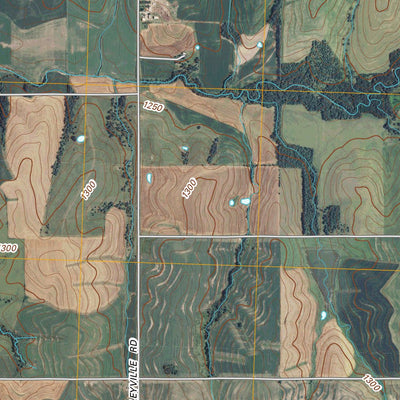 Baileyville, KS (2009, 24000-Scale) Preview 3