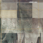 Mcallaster SE, KS (2009, 24000-Scale) Preview 2
