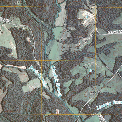 Bee Spring, KY (2010, 24000-Scale) Preview 3