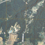 Elizabethtown, KY (2010, 24000-Scale) Preview 3