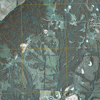 Hickman, KY-MO-TN (2010, 24000-Scale) Preview 3