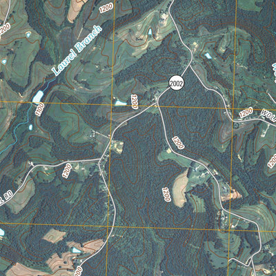Parrot, KY (2010, 24000-Scale) Preview 2