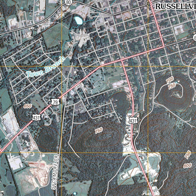 Russellville, KY (2010, 24000-Scale) Preview 3