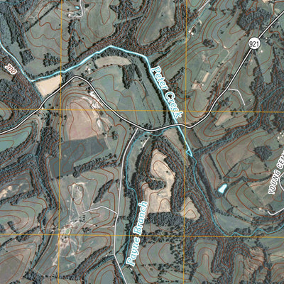 Tracy, KY (2010, 24000-Scale) Preview 2