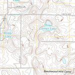 Burnips, MI (2011, 24000-Scale) Preview 3
