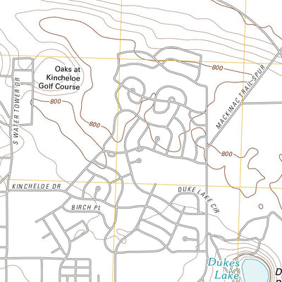 Dafter, MI (2011, 24000-Scale) Preview 3
