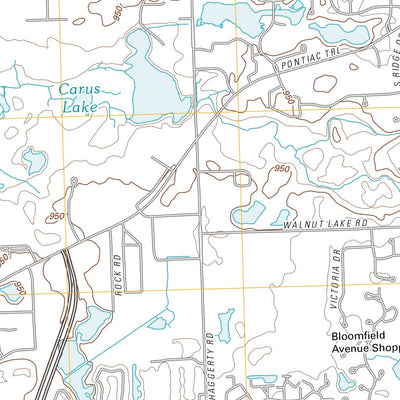 Walled Lake, MI (2011, 24000-Scale) Preview 2