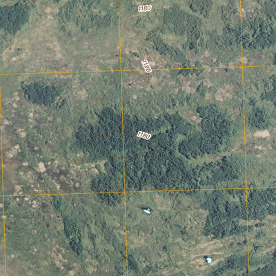 Bailey Lake, MN (2010, 24000-Scale) Preview 3