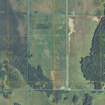 Bain, MN (2010, 24000-Scale) Preview 2