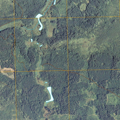 Baudette SW, MN (2010, 24000-Scale) Preview 3
