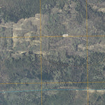 Birchdale SW, MN (2010, 24000-Scale) Preview 2