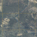 Birchdale SW, MN (2010, 24000-Scale) Preview 3