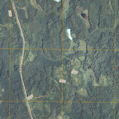 Bird Lake, MN (2011, 24000-Scale) Preview 3