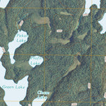 Coleman Island, MN (2011, 24000-Scale) Preview 3