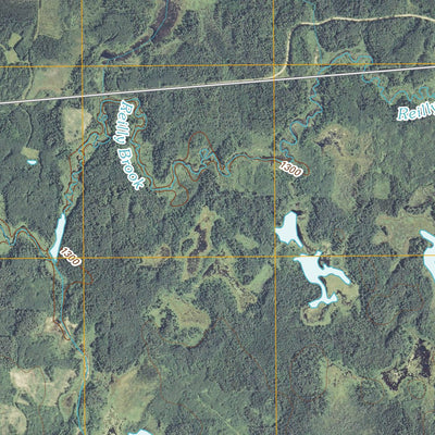 Craigville, MN (2010, 24000-Scale) Preview 3
