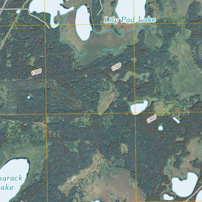 Cross Lake, MN (2010, 24000-Scale) Preview 2