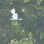 Deer Lake East, MN (2010, 24000-Scale) Preview 2