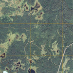 Deer Lake NW, MN (2010, 24000-Scale) Preview 2
