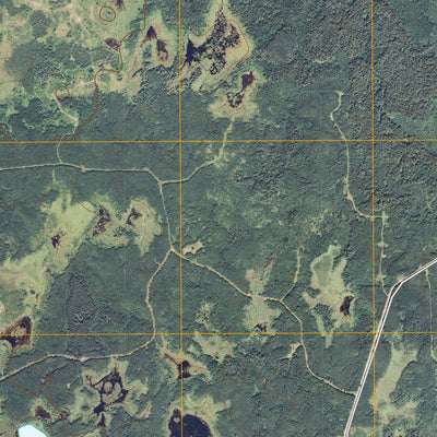 Deer Lake NW, MN (2010, 24000-Scale) Preview 2