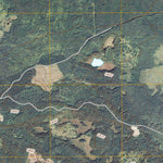 Deer Lake NW, MN (2010, 24000-Scale) Preview 3