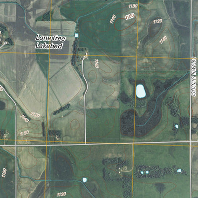 Dismal Swamp, MN (2010, 24000-Scale) Preview 3