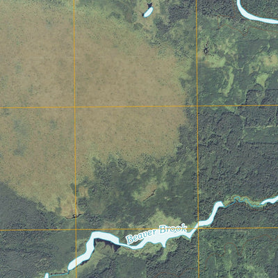Effie NW, MN (2010, 24000-Scale) Preview 2