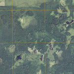 Effie NW, MN (2010, 24000-Scale) Preview 3