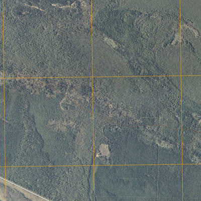 Giant Pine Campground, MN (2010, 24000-Scale) Preview 2