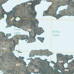 Gillis Lake, MN (2011, 24000-Scale) Preview 2