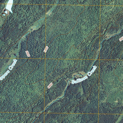 Kane Lake, MN (2011, 24000-Scale) Preview 3