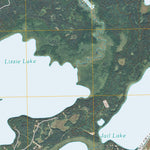 Lake Ada, MN (2010, 24000-Scale) Preview 2