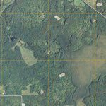 Lawler, MN (2010, 24000-Scale) Preview 3