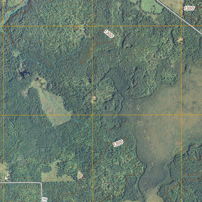 Lawler, MN (2010, 24000-Scale) Preview 3