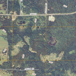 Linden Grove, MN (2011, 24000-Scale) Preview 3