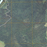 Lindford SE, MN (2010, 24000-Scale) Preview 3