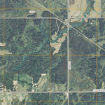 Little Swan, MN (2010, 24000-Scale) Preview 2