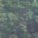 Loman, MN (2010, 24000-Scale) Preview 3