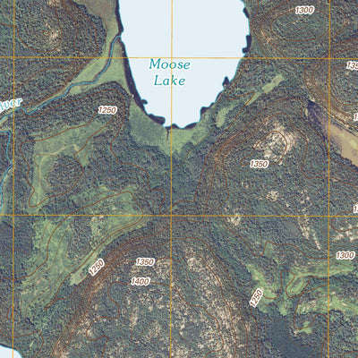 Marion Lake, MN (2011, 24000-Scale) Preview 2