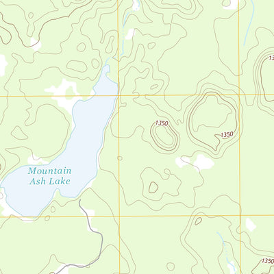Mountain Ash Lake, MN (2013, 24000-Scale) Preview 2