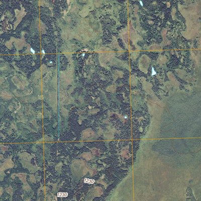 Mulligan Lake NE, MN (2010, 24000-Scale) Preview 2